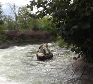 Erlebnispark Tripsdrill