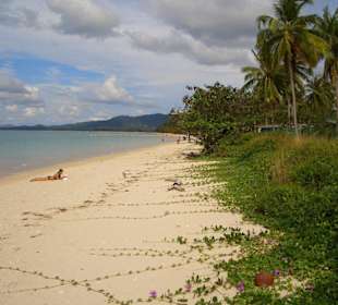 White Sand Beach