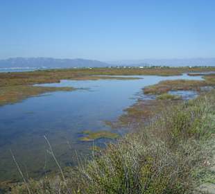 Einfach überall Wasser
