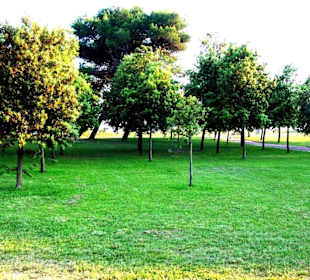 Parkanlage Lido dei Pini