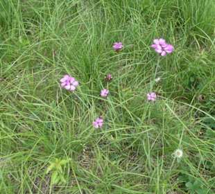 Eindruck vom Spaziergang Ostheimer Streifberg-Tour