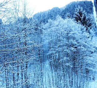 Mellau