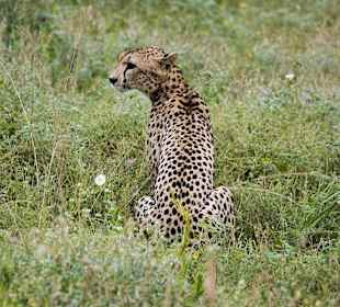 Nationalpark Kenia