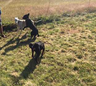 Wandern Mitterfirmiansreut