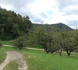 Hochgehnießen - Premiumspazierwanderweg