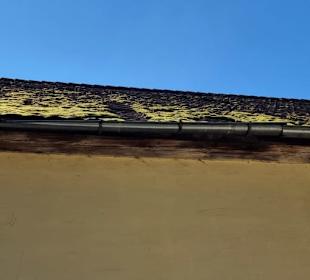 Das alte Dach noch sehr gute Balken