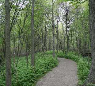 Typischer Trail