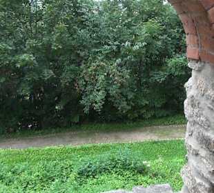 Schloss Wildenfels
