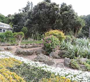 Kleiner Garten am Rande der Stadt