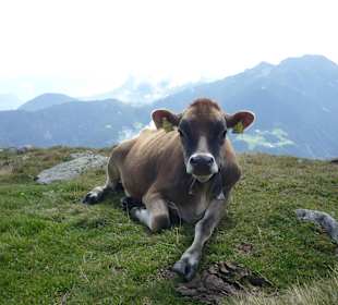 Fotomodell am Weg zur Hochwart
