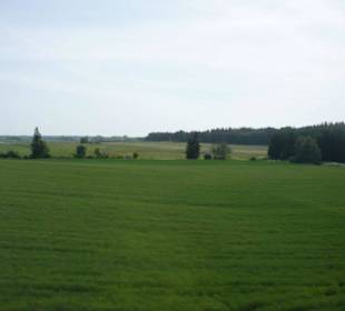 Malbork zamek i jego atrakcje