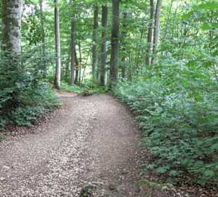 Burg Alt-Lichtenstein