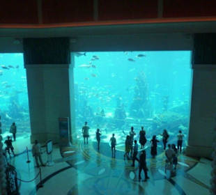 Das Aquarium im Atlantis