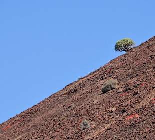 Caldera de los Arrabales