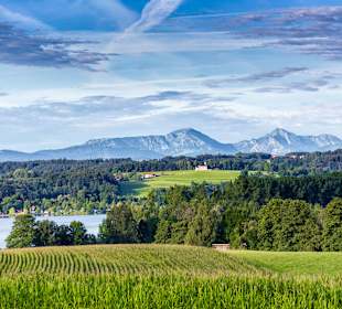 Wandern Waging am See