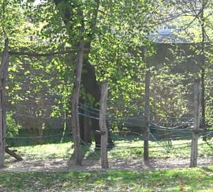 Unterer Schlossgarten Stuttgart