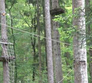 Waldklettergarten Atreenalin Dornstetten-Hallwange