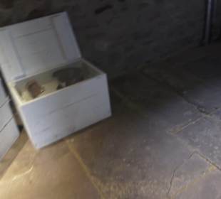 Schlössle von Effringen