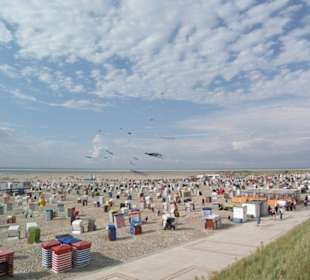 Am Strand (Drachen-Festival)