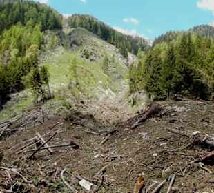 Mure- oder Lawinenabgang
