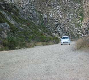Mit 30 km voran