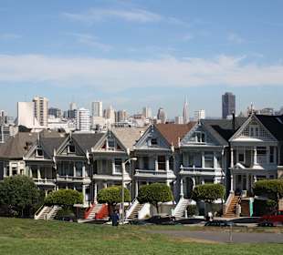 Painted Ladies