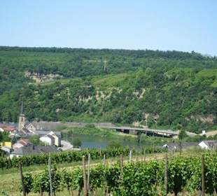 Blick auf die Mosel & Machtum (Luxemburg)