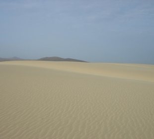 Dünen von Corralejo
