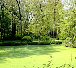Spaziergang durch den Wolfskuhlenpark