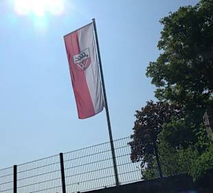 Schlossruine Wildberg