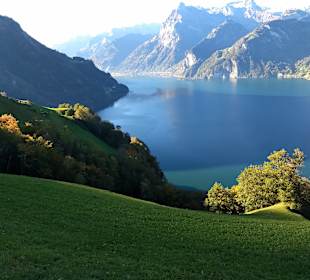 Vierwaldstättersee
