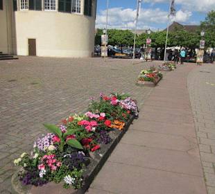 Altstadt Bad Bergzabern