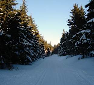 Herrliche Loipen und Wanderwege