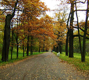 Park Katarzyny