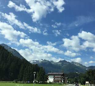 Wandern Wald im Pinzgau