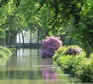 Ein Blick zum Träumen