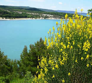 Der Stausee Sainte Croix vor dem Canyon du Verdon