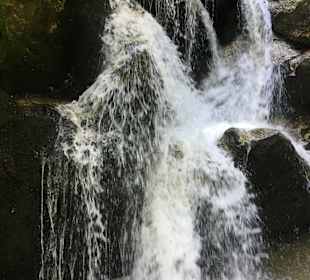 Wandern Bad Kreuzen