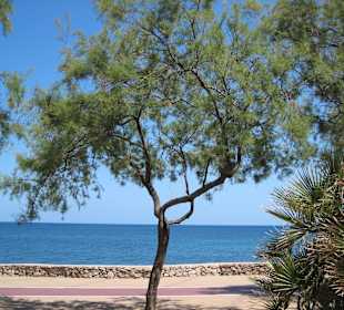 Cala Bona/Cala Milor