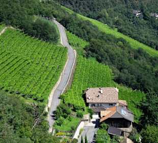 Blick aus der Seilbahn auf die Hänge des Ritten