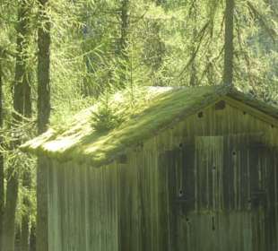 Wandern Sesto / Sexten