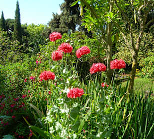 Blandys gardens