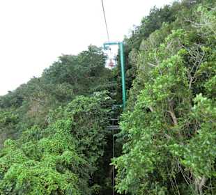 Schweben durch den Urwald