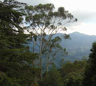 Cerro Monserrate, der "Hausberg" Bogotás. 