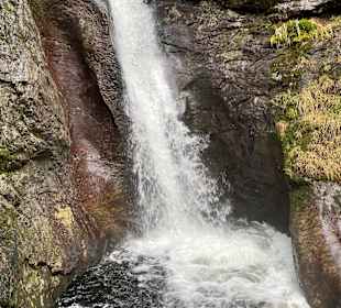 Wandern Drachselsried