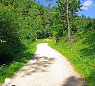 Der Therapeutische Wanderweg