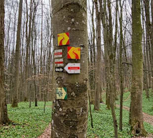 Viele Hinweisschilder