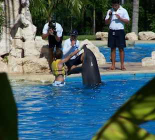 Dolphinaris Cancun