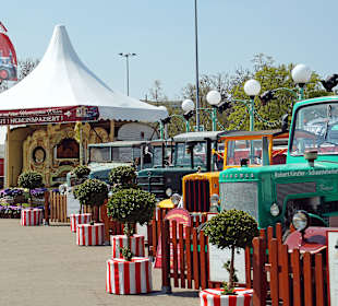 Ausstellung ,,Alte Traktoren''