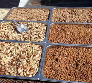 Impressionen vom Wochenmarkt Saint-Cyprien-Plage